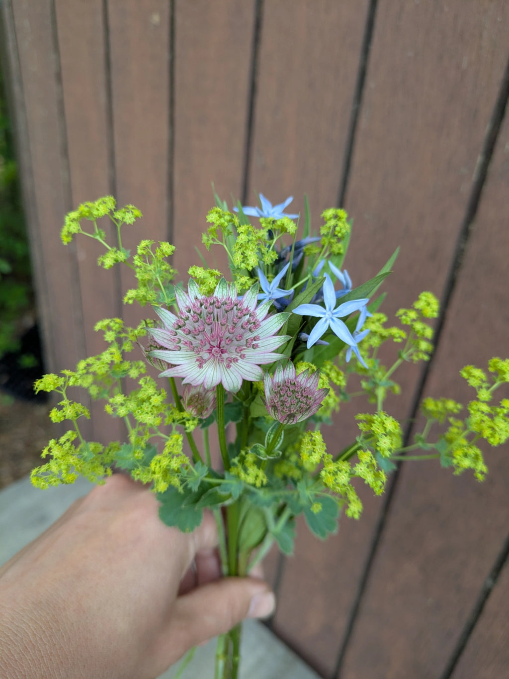 草花ミックス