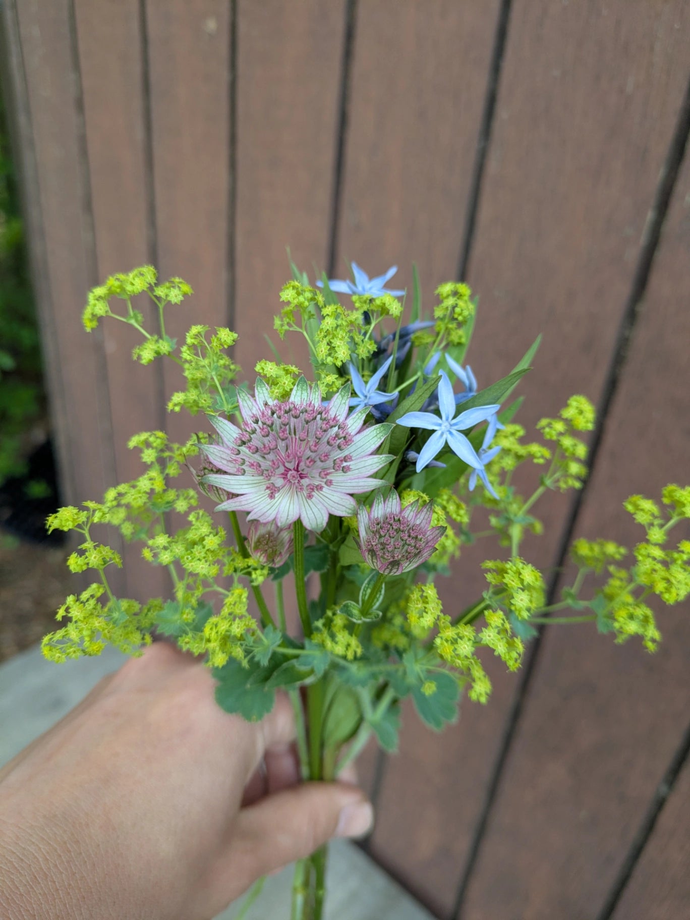 草花ミックス