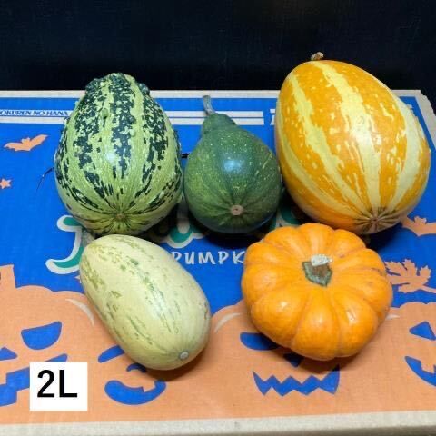 ハロウィンカボチャ