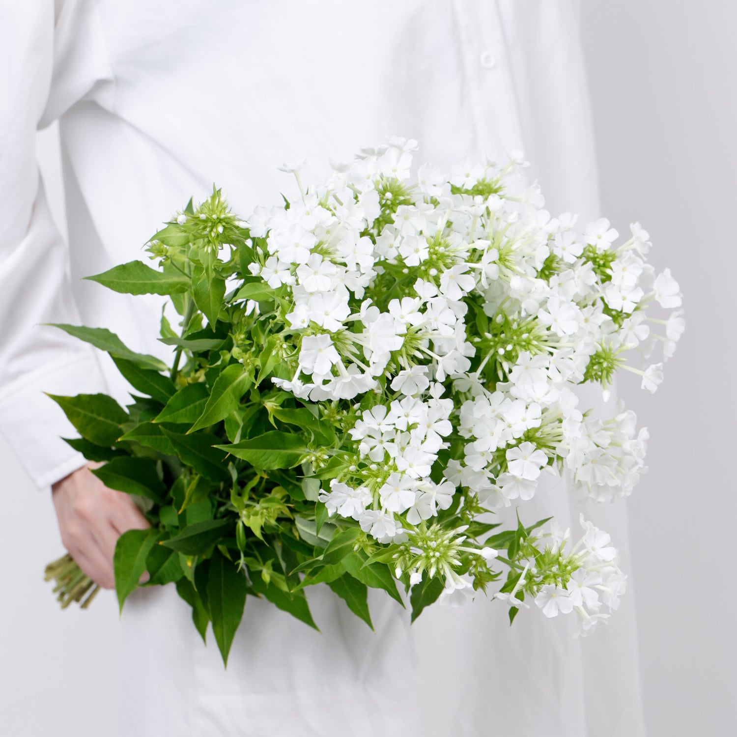 ホワイト