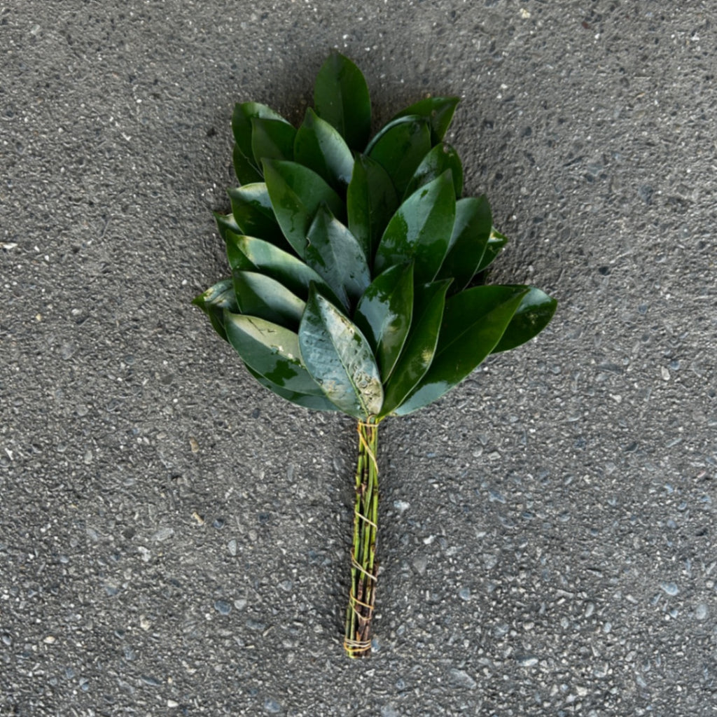本榊