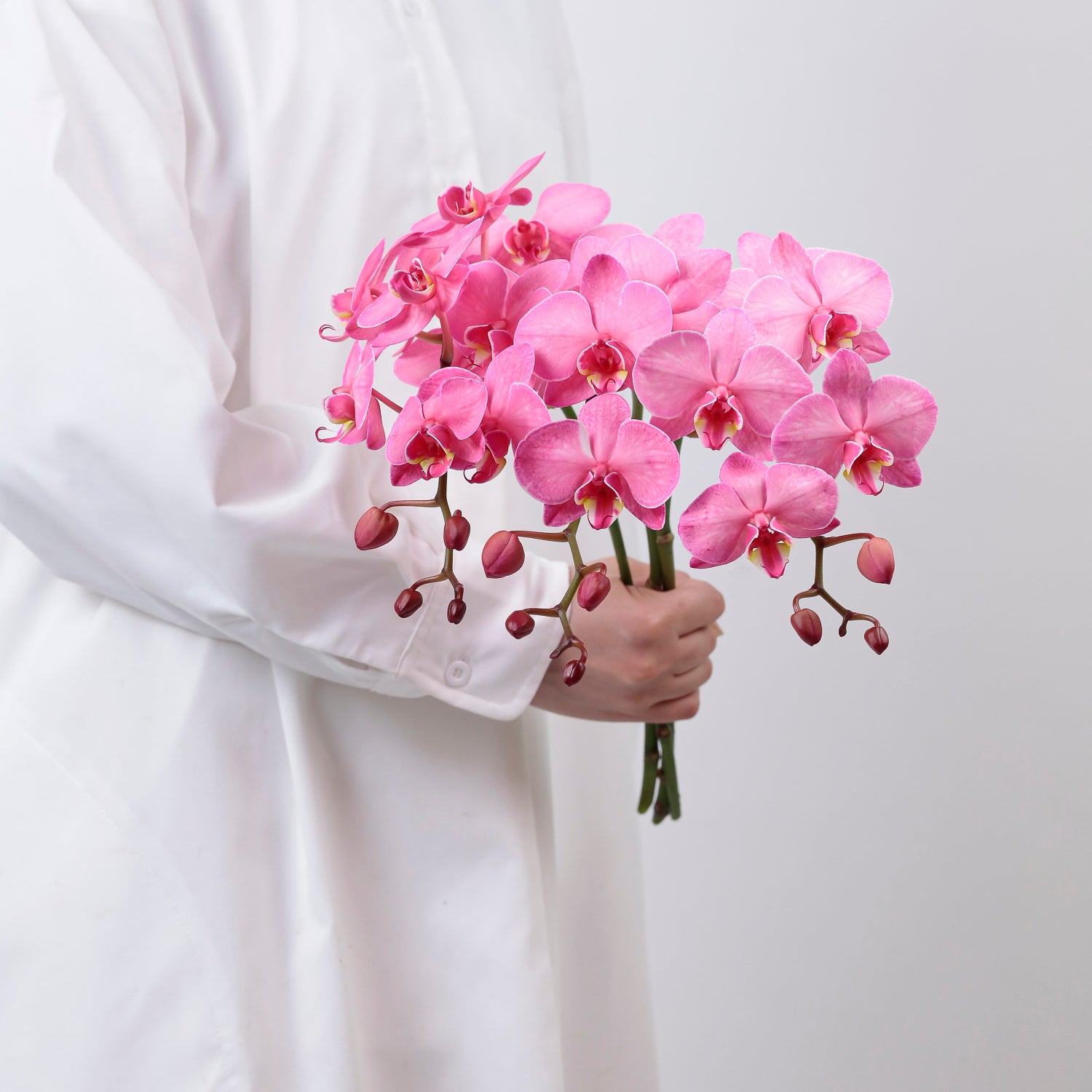 アマビリス染め（ルビー）