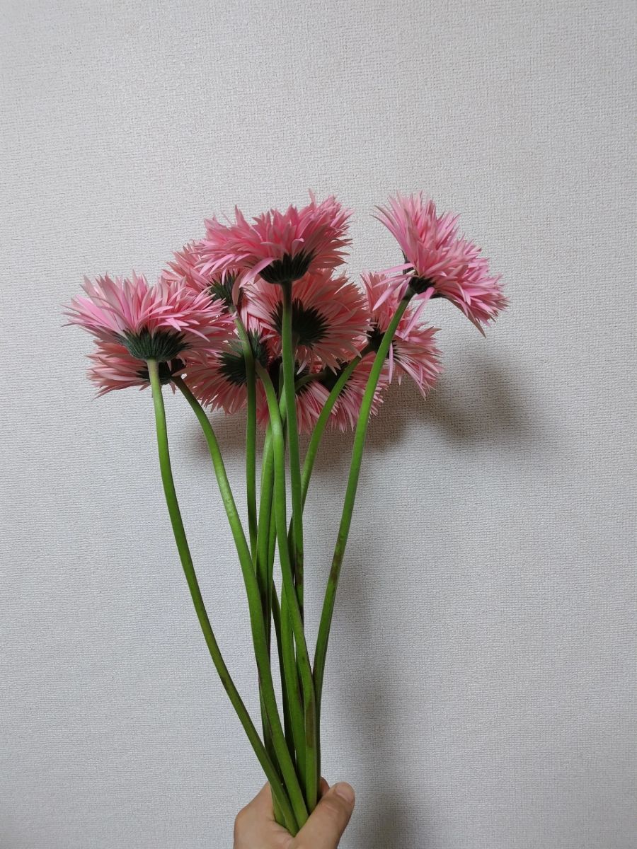 大輪ピンク