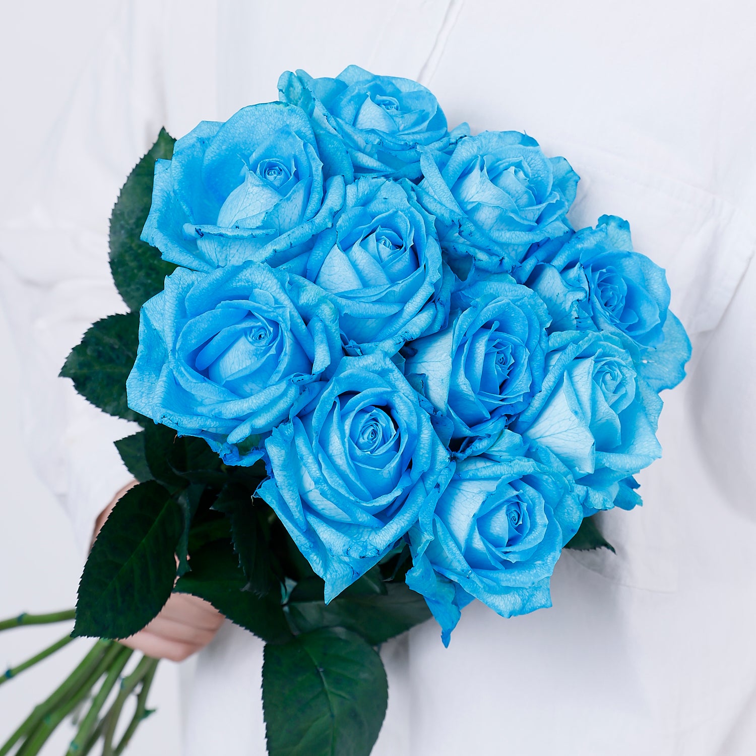 アヴァランチェ+ロイヤルブルー