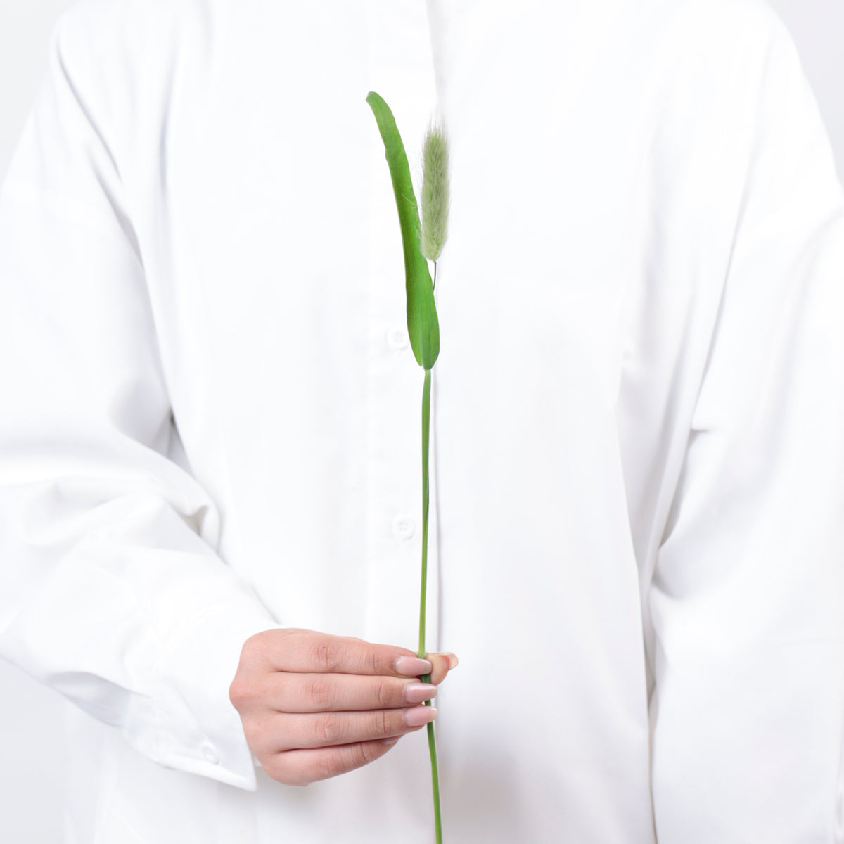 スモークグラス