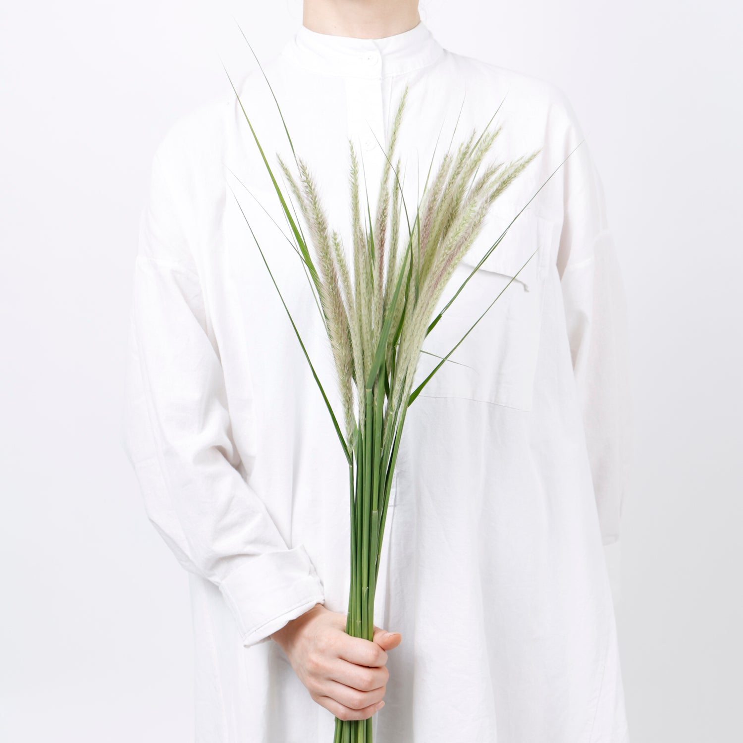 ホワイトフォックス