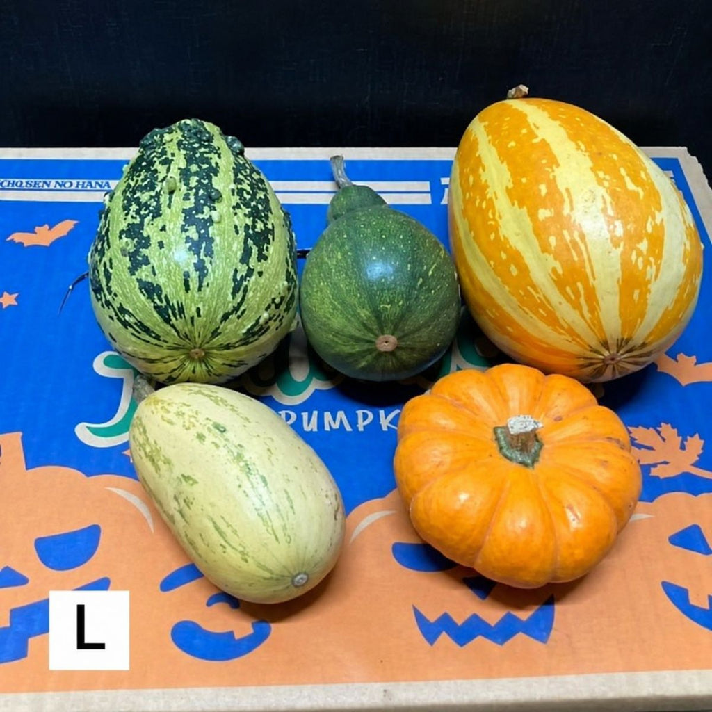 ハロウィンカボチャ