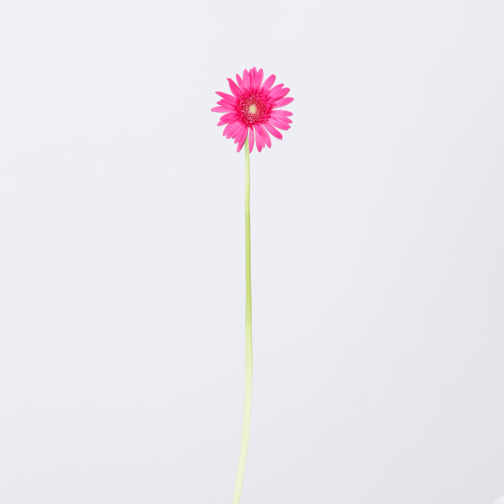 シーマ