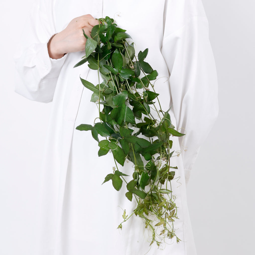 ホープ