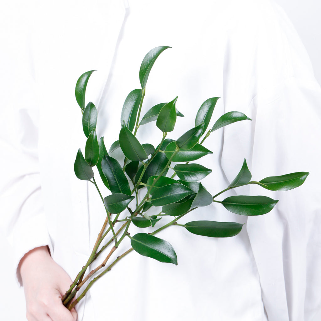 玉串榊
