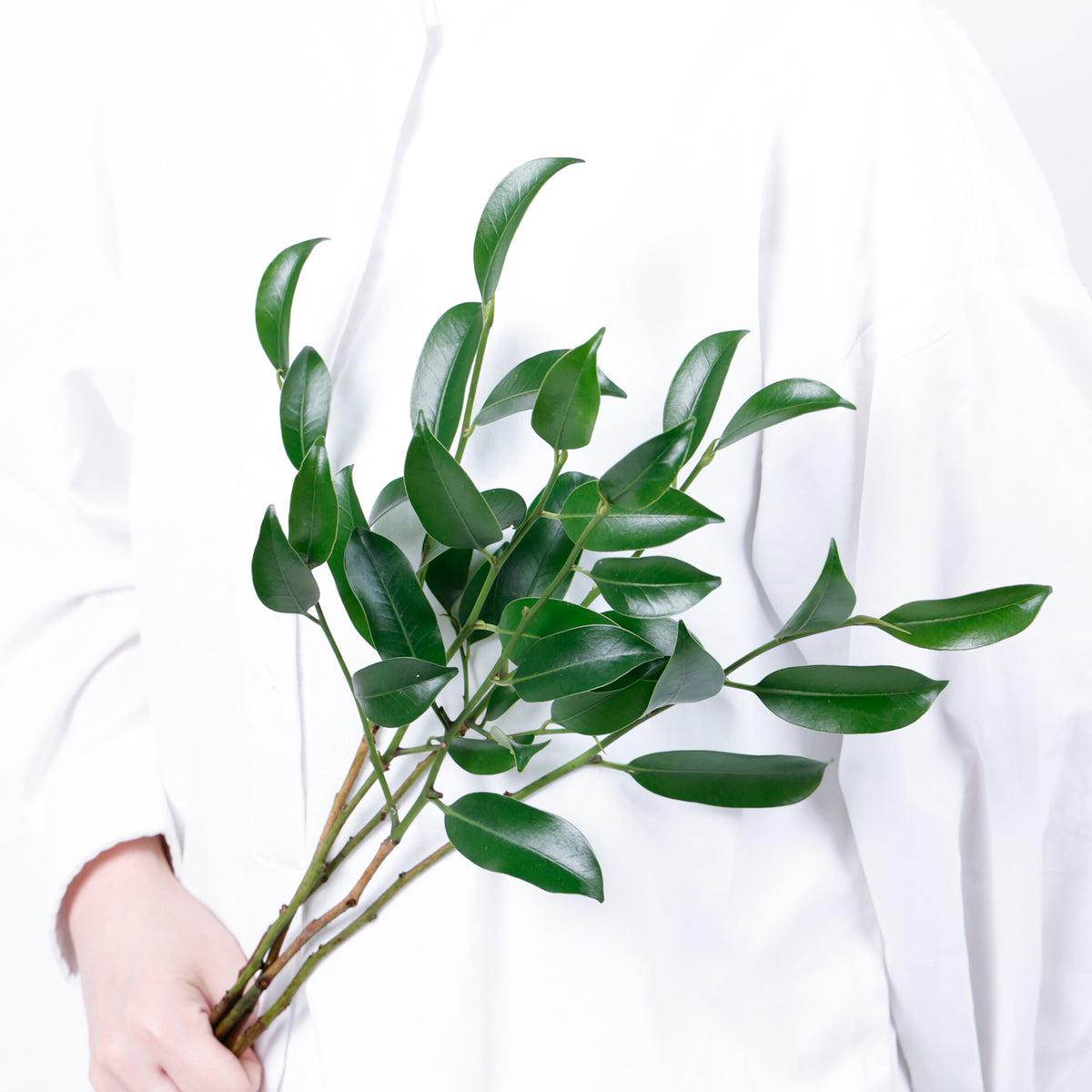 玉串榊