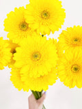 サンディ