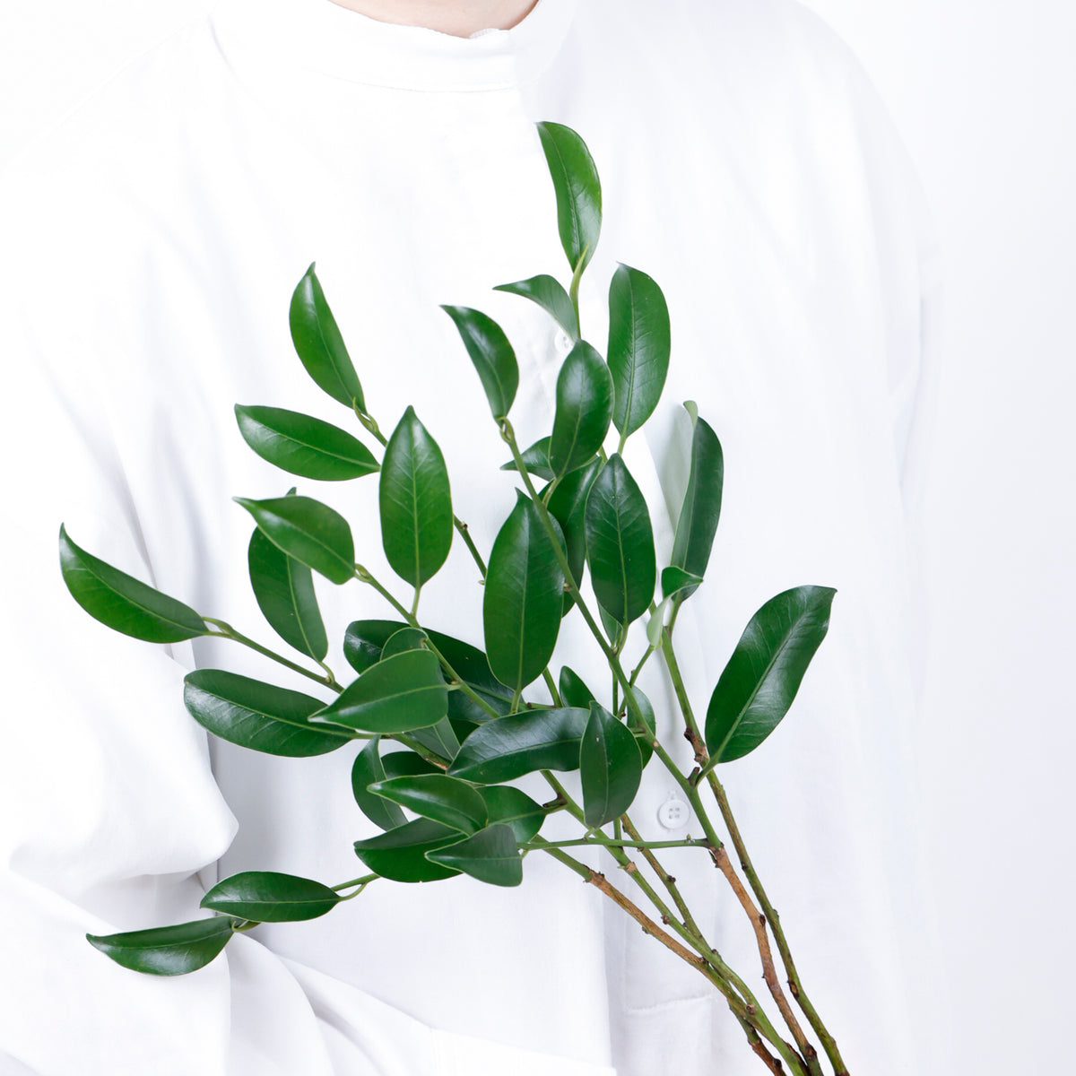 玉串榊