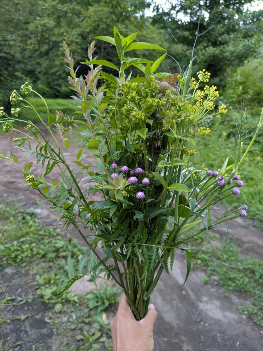 草花ミックス