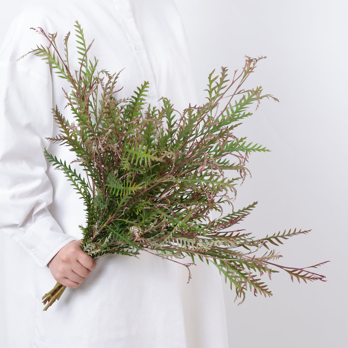 アイバンホー