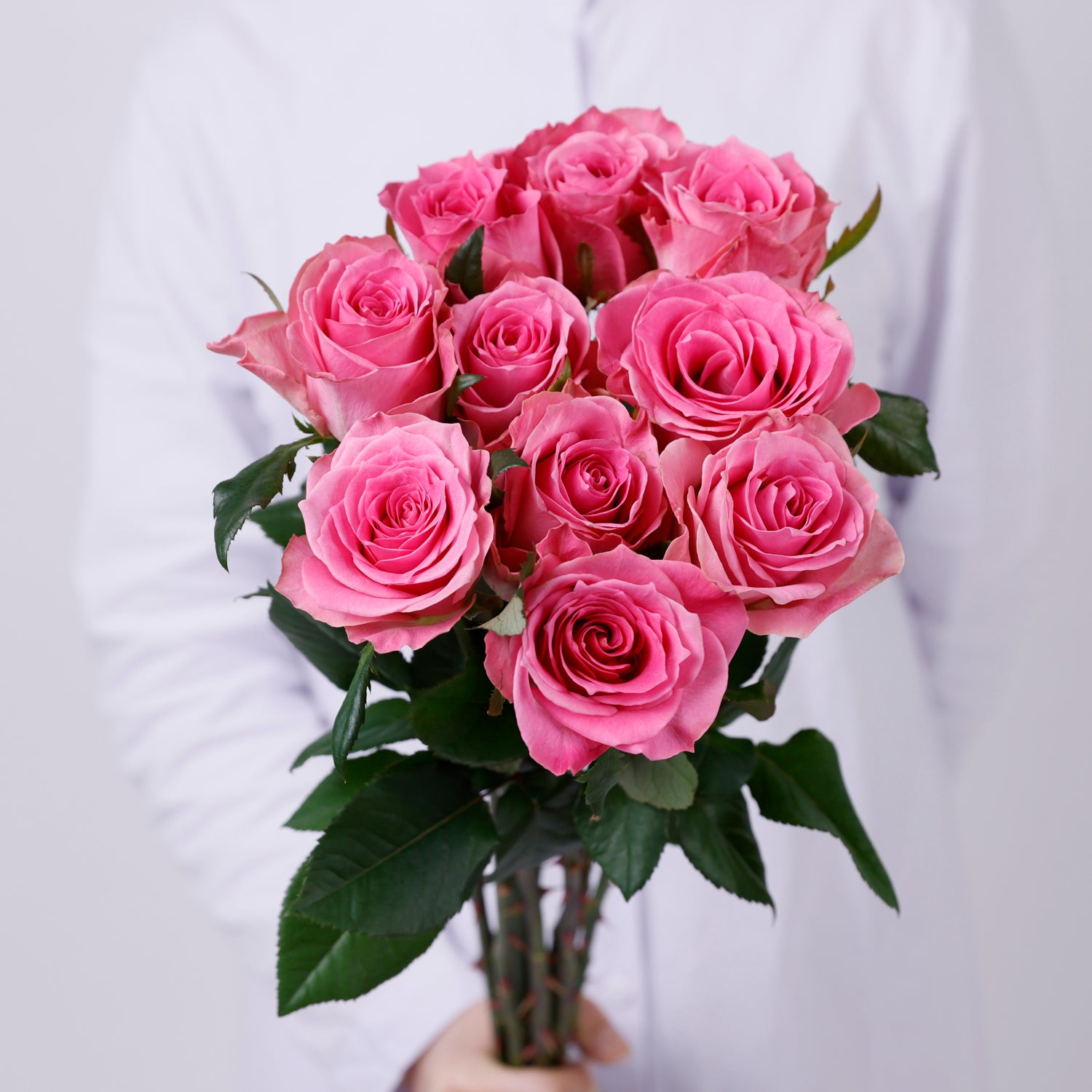 ユニコーン